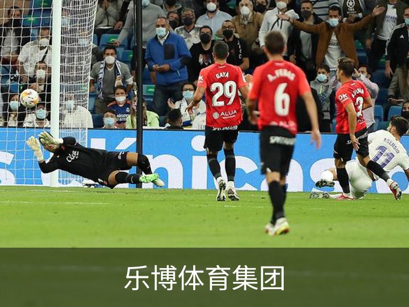 走进乐博体育集团